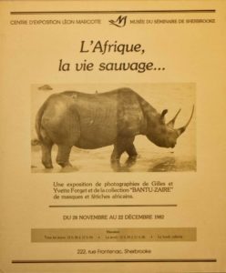 Poster, L'Afrique, la vie sauvage