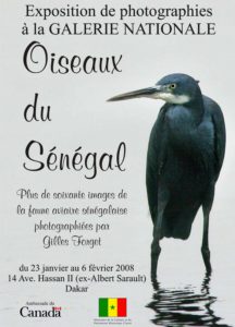 Poster Oiseaux du Sénégal