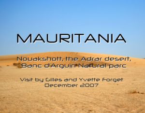 conference mauritania poster