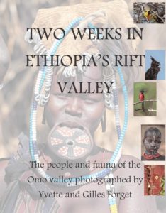 conference poster ethiopian rift valley
